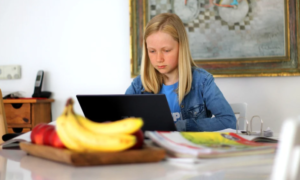 Homeschooling pros and cons